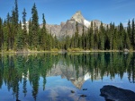 Montañas y pinos reflejados en el agua del lago