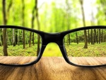 Observando el bosque a través de unas gafas
