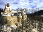 Un antiguo castillo cubierto de nieve