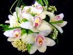 Ramo de orquídeas blancas
