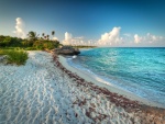 Playa exótica del Caribe mexicano