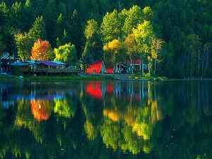 Arboleda y bellas casas se reflejan en el lago