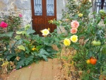 Flores y tomates junto a la puerta