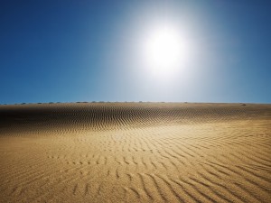 El sol brillando en el desierto