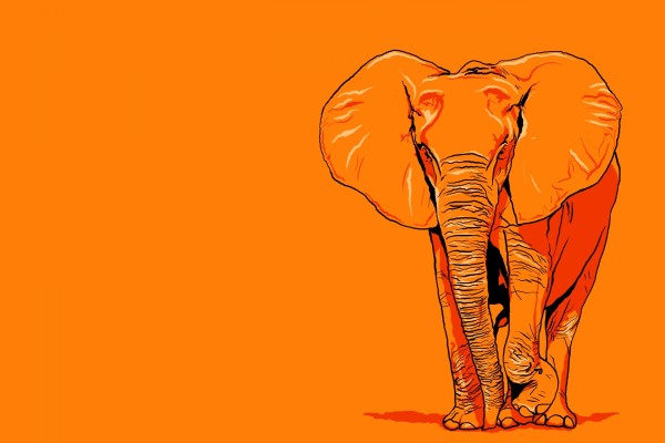 Un elefante naranja