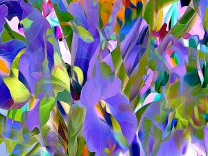 Flores abstractas de varios colores