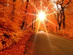 El radiante sol iluminando una carretera en otoño