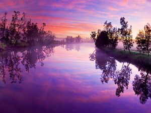 Un río color púrpura