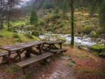 Mesas y bancos junto a un río en un bello entorno natural