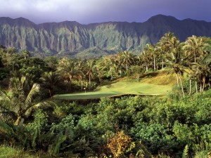 Campo de golf entre palmeras