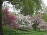 Un parque en primavera