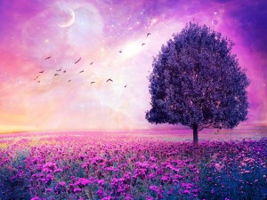 Un bonito campo y cielo color púrpura