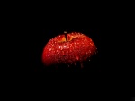 Una manzana roja en la oscuridad