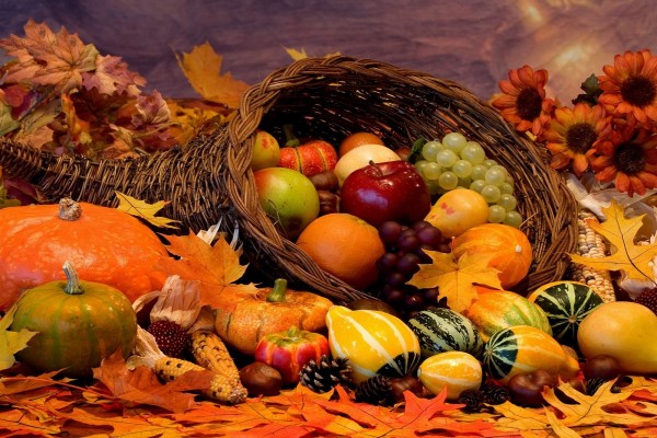 Frutas, calabazas y frutos secos de temporada de otoño