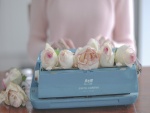 Delicadas rosas sobre una máquina de escribir
