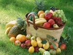 Abundantes frutas variadas sobre el césped
