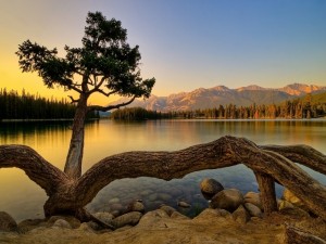 Postal: Un tranquilo amanecer en el lago