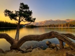 Un tranquilo amanecer en el lago