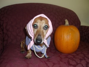 Un perro disfrazado en la noche de Halloween