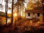 Hermosa casita en el bosque junto a un río