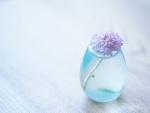 Flor en un jarrón con agua