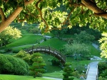 Bonito parque japonés