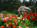 Flores junto a la magnífica casa