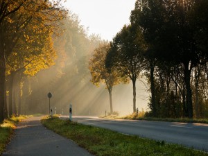 Los rayos del sol iluminan la carretera