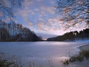 Postal: Lago congelado en invierno