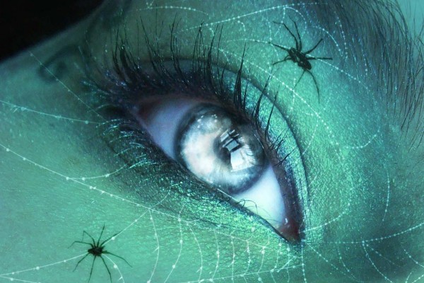 Arañas cerca de un ojo de mujer