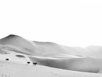 Caballos corriendo por las dunas