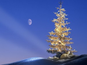 La luz de la Luna sobre el árbol de Navidad