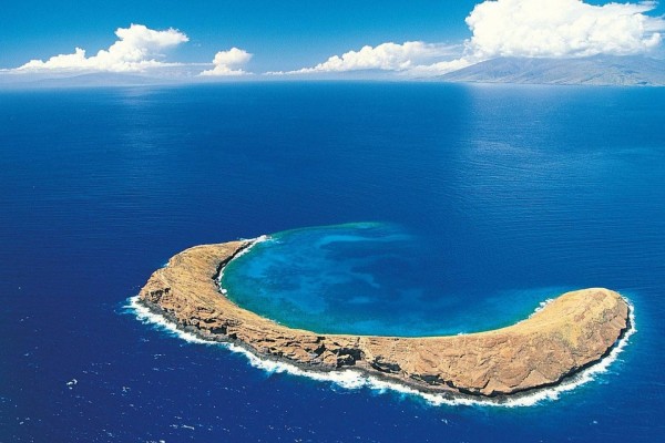 Isla paradisíaca en el océano