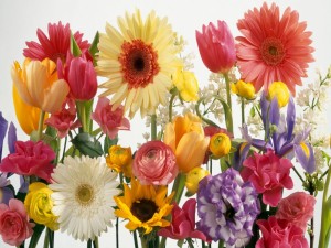 Bellas y coloridas flores primaverales