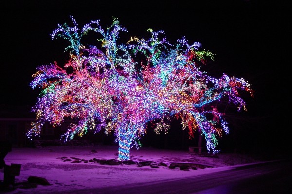 Árbol cubierto con luces de colores en una noche navideña