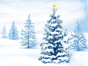 Estrella sobre un árbol de Navidad