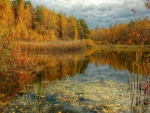 Reflejos de otoño en el lago