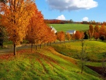 Casas y árboles en otoño junto a una carretera