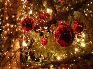 Bolas rojas y luces en un gran pino decorado para Navidad
