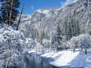 Postal: Nieve en los árboles y a orillas del río