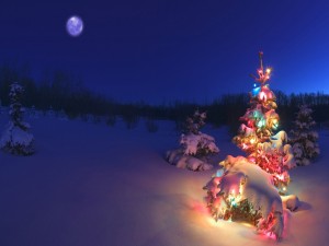 Árbol de Navidad cubierto de nieve y adornos