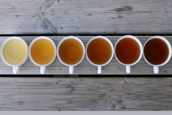 Tazas con varias clases de té