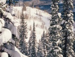 Funicular en un paisaje nevado