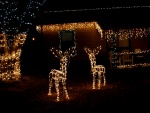 Renos de Navidad iluminados junto a una casa