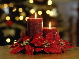 Velas y flores de pascua para decorar en Navidad