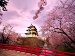 Cerezos en flor junto al castillo Hirosaki