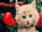 Un precioso gatito junto al árbol de Navidad