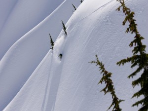 Snowboard en nieve virgen