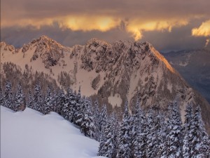 Un bello paisaje de nieve sobre árboles y montañas