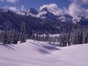 Blanca nieve en árboles y montañas
